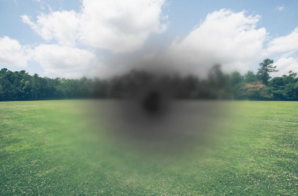 Scenery of a field with a grey and black blurred dot in the middle representation vision with age-related macular degeneration.