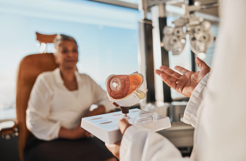 Using an anatomical model of the human eye, a patient learns why dryness can lead to watery eyes.